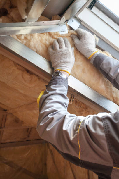 Best Residential Insulation in Liberty City, TX