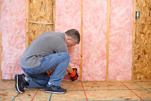 Best Insulation Installation Services in Liberty City, TX