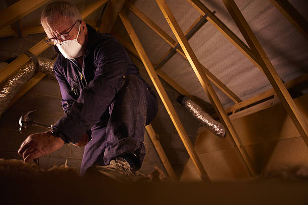 Best Residential Insulation in Liberty City, TX