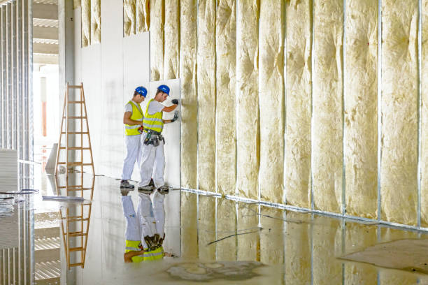 Best Energy Efficiency Solutions in Liberty City, TX